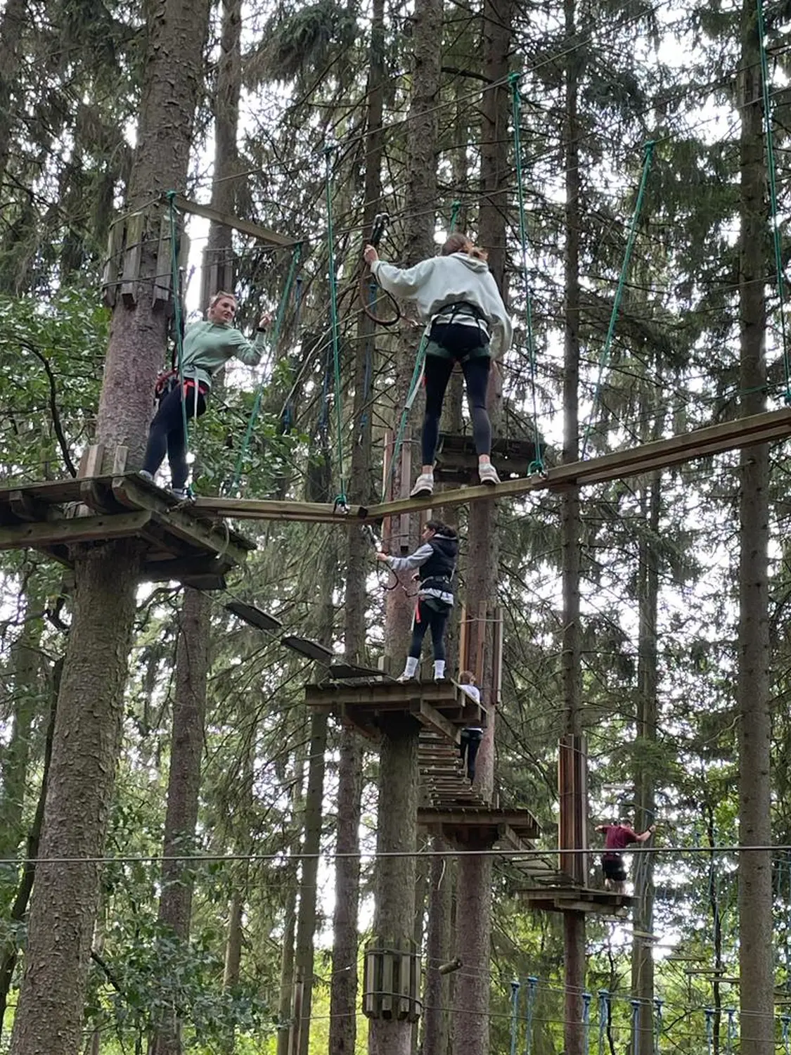 Kletterwald Rabenstein vom Erziehungsförderverein e.V.